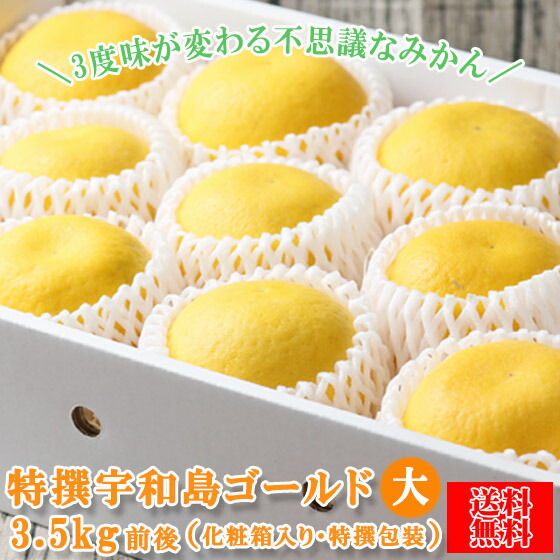 みかん　特撰宇和島ゴールド　３．５ｋｇ前後　特ゴ３．５　化粧箱入り　特撰包装　精品　河内晩柑　ゴールド　愛南ゴールド　美生柑　夏文旦　宇和ゴールド　フレッシュつちやま　吉田みかん　愛媛　吉田　宇和島　青果　果物　ミカン　柑橘　フルーツ　送料無料　訳あり