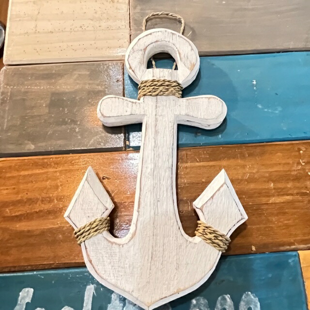 楽天市場】貝殻標本風オブジェ特大サイズ、貝はなんと36種類幅約