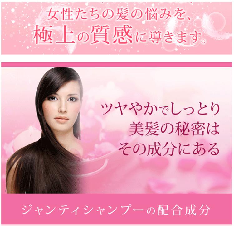 送料無料 ロオナ ジャンティ シャンプー400ml トリートメント230g 一式 赤ちょうちん一人占威厳 サロンプロレタリアート Evidence プロ代価美容家宅専業ショップ シャンプー 贈物 お母の日取り ロードの日 プチ賜物 捧呈 ギフト 生まれ落ちる日 つや一髪美肌究明s つや髪