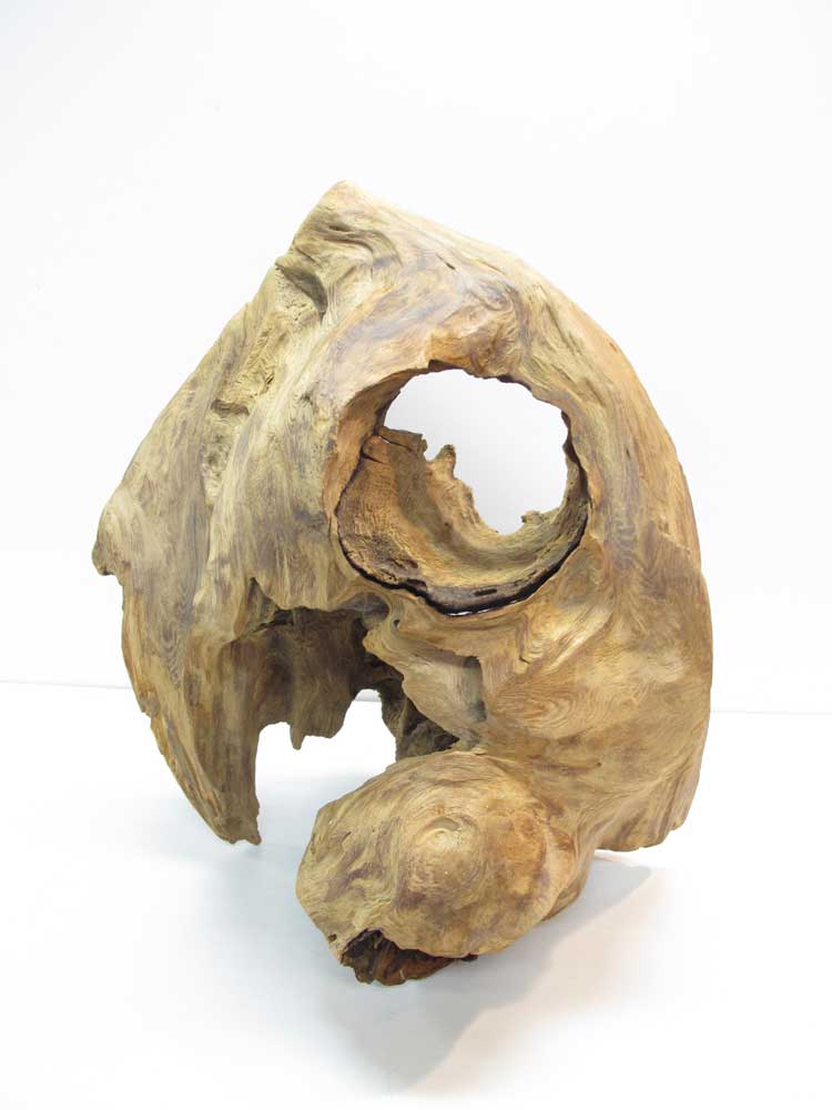 楽天市場】【稀少材】【屋久杉】屋久杉の置物 一点限り 日本製 屋久島