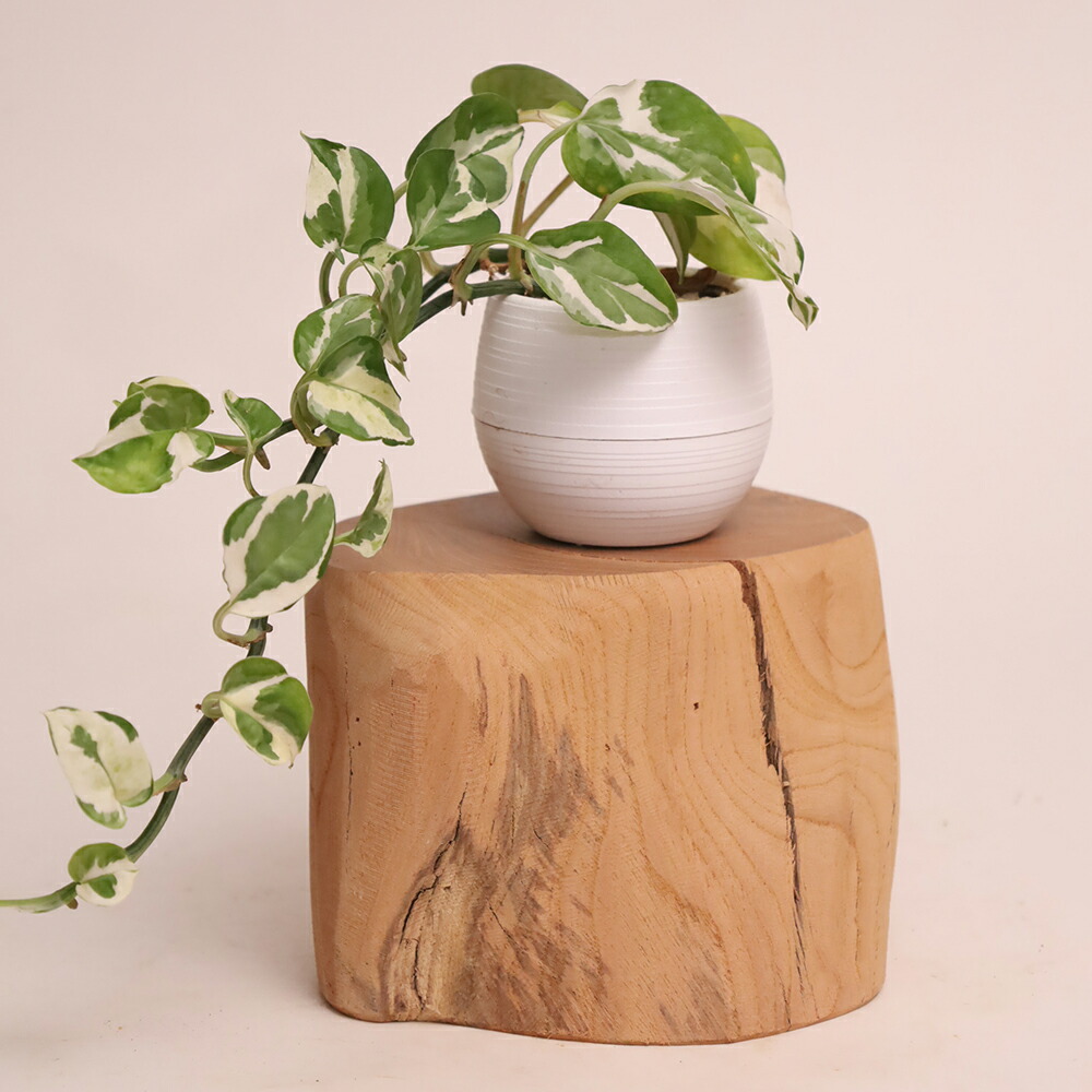 ☆茶台　花台　自然木　欅製☆ ケヤキ自然木の花台・敷板