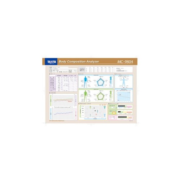 タニタ 御勤め用MC-980A専用刷り上げる質問用紙 赤銅色 MC-980A-01 1000枚