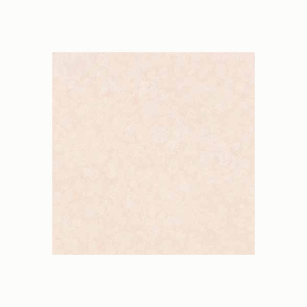 アイカ工業 セラール 3x8 FANA 1967ZMN 1枚｜DIY FACTORY ONLINE SHOP