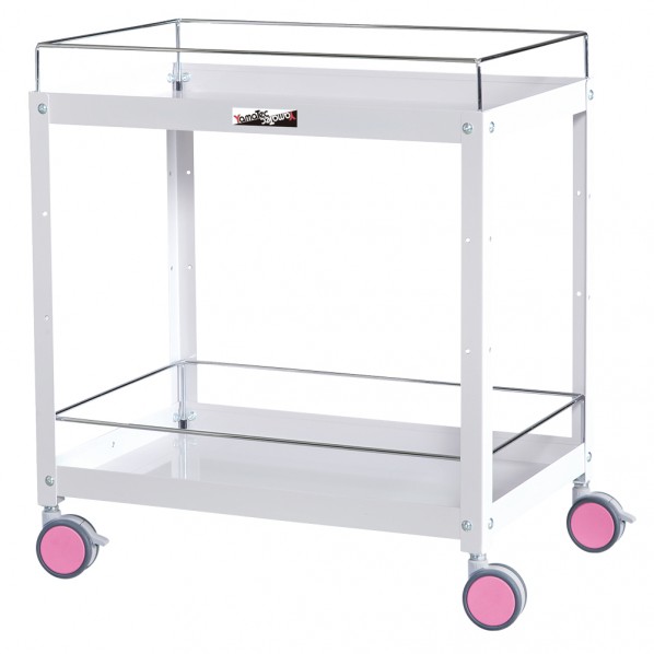 ※法人専用品※山金工業 色彩ワゴン CWCF-2-RE 1台