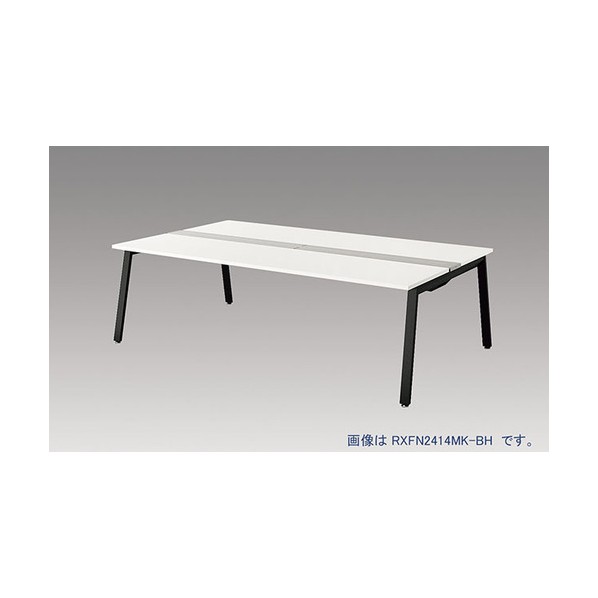 ナイキ 大型ベンチテーブル (基本型) (両面タイプ) RXFN1214K-BH 1点