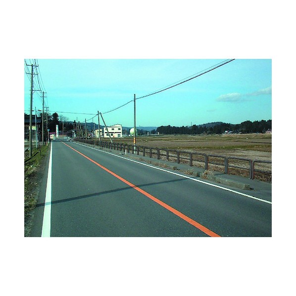 積水樹脂 セイフテイパイプ チャイロ55 支柱間隔\u003d1000 H\u003d800 TP-8P2-10C 1点