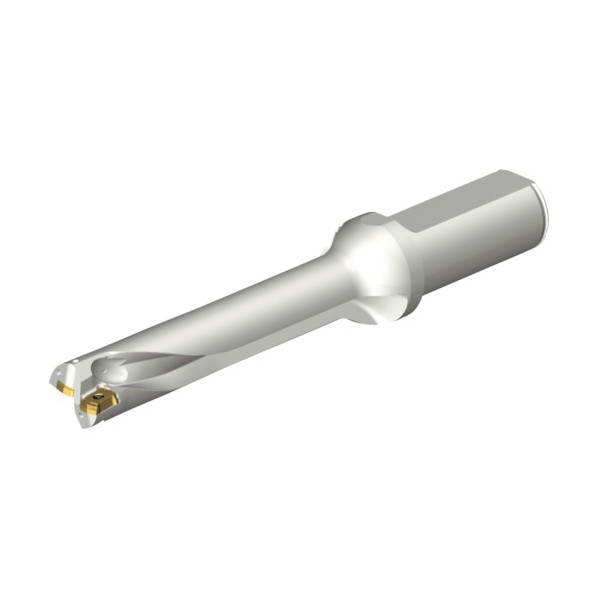 サンドビック コロドリルDS20刃先交換式ドリル(465) DS20-D2000L25-05 1点 DIY・工具-花・ガーデン・DIY