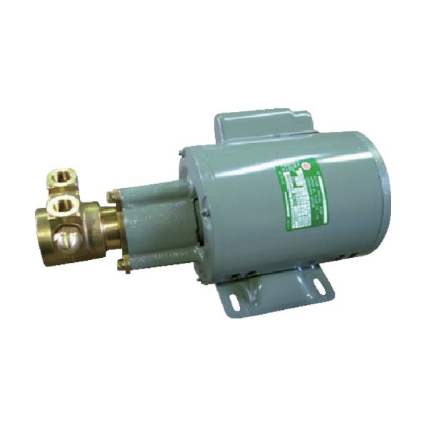 フクカラ 原動機付揚水機 FQP660-1 1