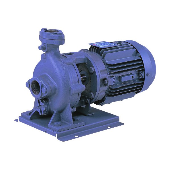 エバラ(荏原製作所) FVD型ブルテックスポンプ 50Hz 口径65mm 出力3.7kW 65FVD53.7B 1点