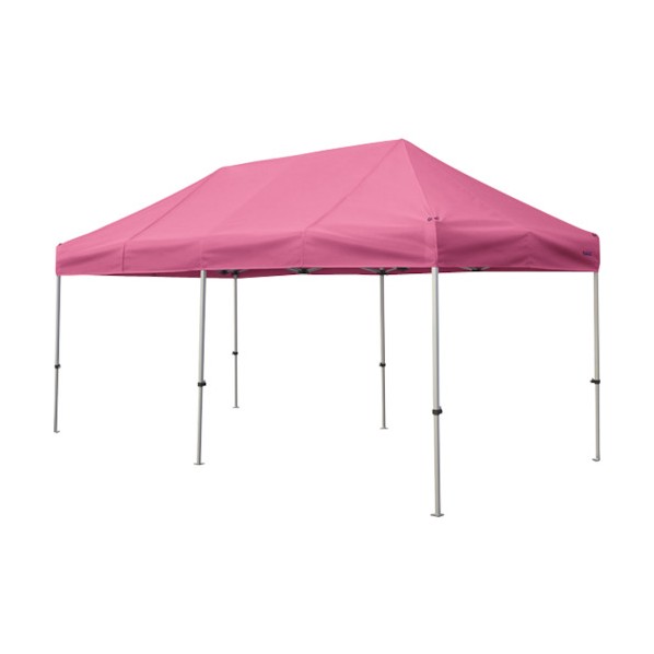 ※法人専用品※さくら会社企業 かんたんてんと 2.4m×4.8mオール軽銀ひな型 さくら色 KA/5WA-P 1点