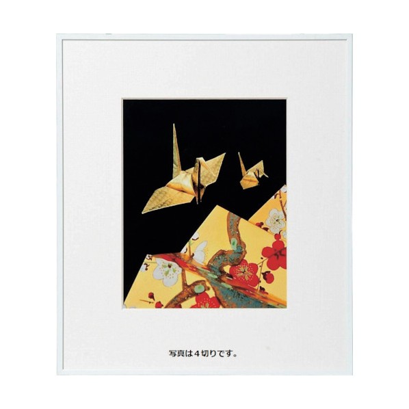 ケンコー・トキナー アルミ額縁 画廊 半切 アクリル入り ホワイト AGR-H-WH-AC 1箱｜DIY FACTORY ONLINE SHOP