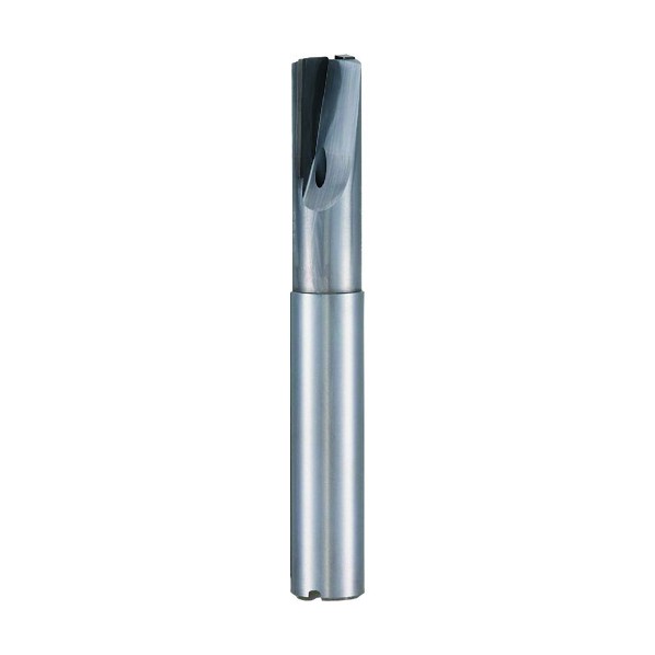グーリング PCD 2枚刃エンドミル レギュラ 6mm 5492 6.000 1点｜DIY FACTORY ONLINE SHOP
