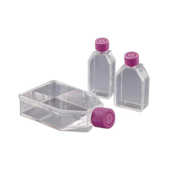 AGCテクノグラス 組織培養フラスコ 600mL 3133-MYP 10個｜DIY FACTORY ONLINE SHOP 10,607円