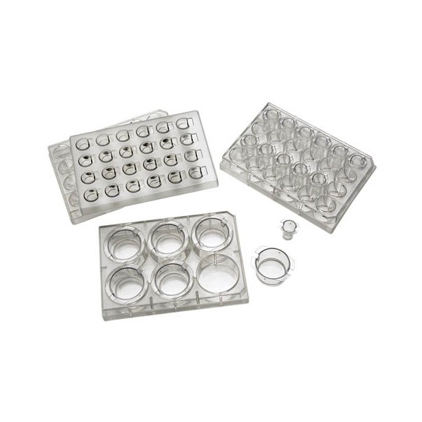 Falcon セルカルチャーインサート 透明 48個|DIY FACTORY ONLINE SHOP