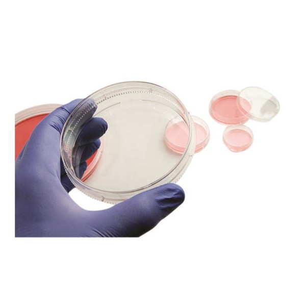 サーモフィッシャーサイエンティフィック 細胞培養ペトリディッシュ 12.5mL 150466 24包