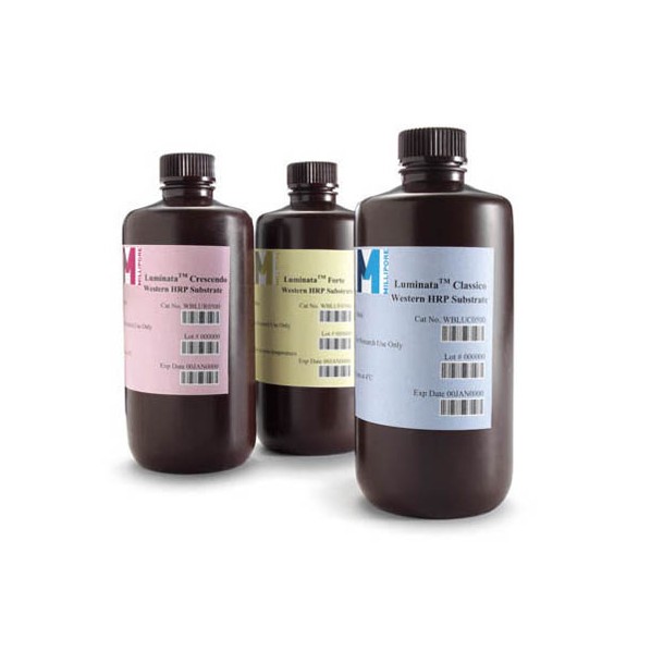 HRP舎密学発するさがし当てる試薬(ルミナタ) 500mL 1個