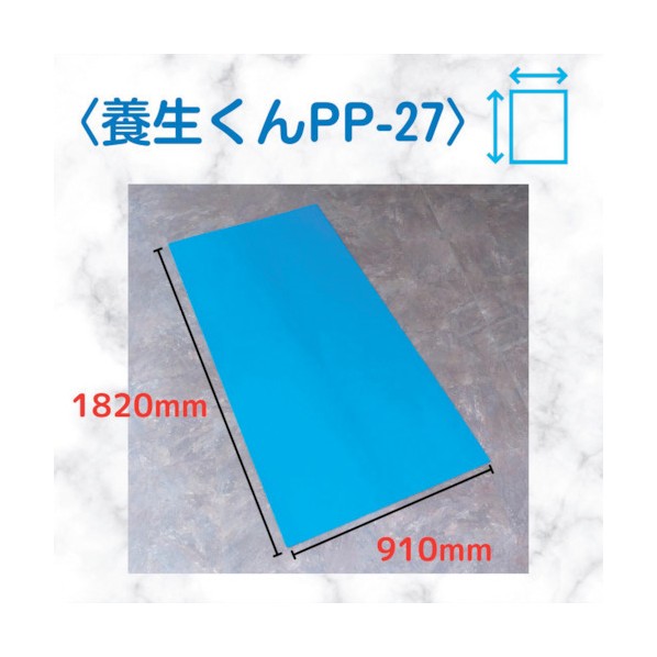 第一聖堂 息抜きくん 青  2.7mm×910mm×1820粍 PP-27 10枚