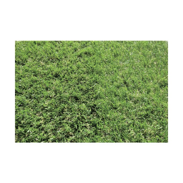 グリーンクロス バロン人工芝 100cm×10m 6300027847 1点