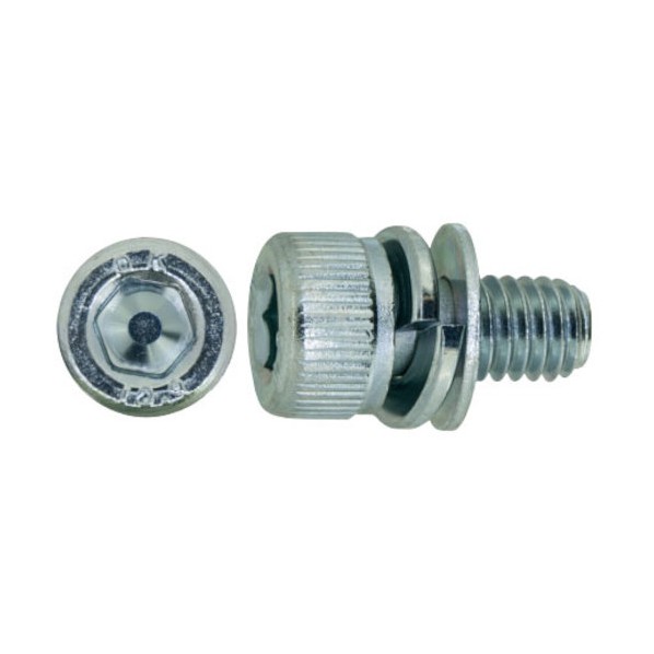 サンコーインダストリー 三価ホワイト 10.9CAP P\u003d4 岡井鉄工所製 4 X 15 A0-00-904J-0040-0150-03 600本