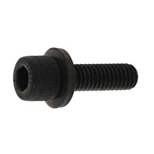 サンコーインダストリー 10.9GT-L CAP 8 X 12 A0-00-9L00-0080-0120-00 200本