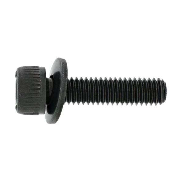 サンコーインダストリー 12.9 GT-CAP (LA) 8 X 30 A0-00-GTLA-0080-0300-00 200本｜DIY FACTORY ONLINE SHOP