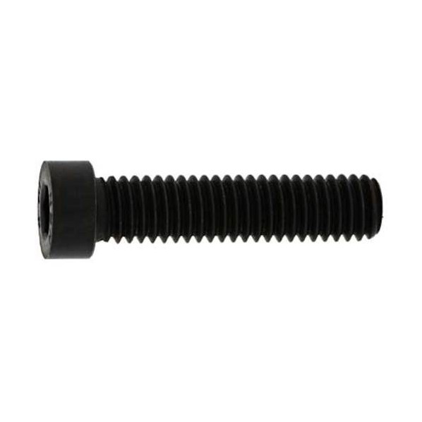 サンコーインダストリー ステンレス 小頭ローヘッドCAP 12×20 A0-02-L050-0120-0200-00 100本