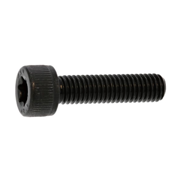 サンコーインダストリー ステンTORX-CAP 3×6 A0-02-T000-0030-0060-00 1000本|DIY FACTORY ONLINE SHOP