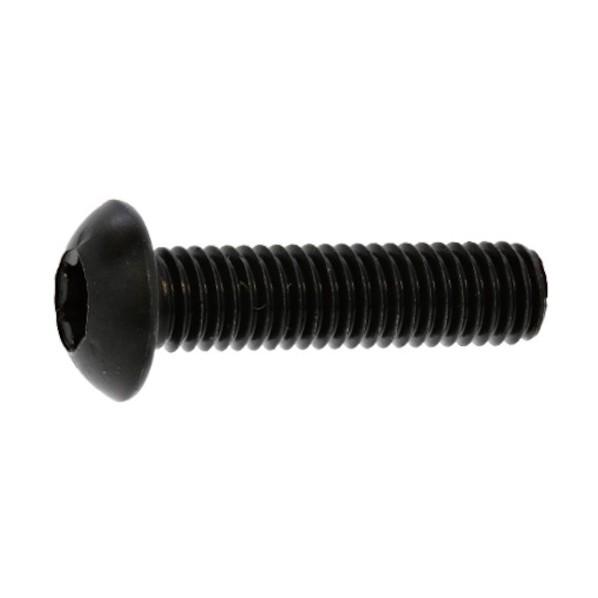 サンコーインダストリー ステンレス鋼 TORX-名取り草CAP 6×40 A0-02-T100-0060-0400-00 300本