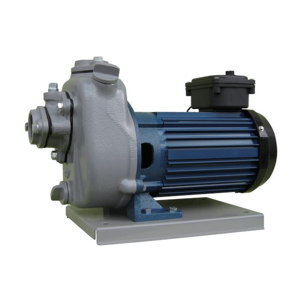 寺田ポンプ セルプラポンプ全閉外扇屋外形電動機付６０Ｈｚ 220 x 445 x 325 mm MPT20041R60HZ 4068 1