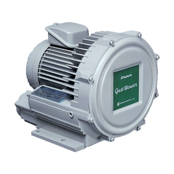 ※法人専用品※昭和電機 電機電動送風機渦流式高圧シリーズガストブロアシリーズ(0.75kW) U2V70T 1|DIY FACTORY ONLINE SHOP