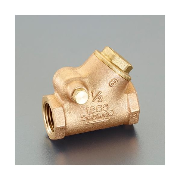 エスコ(esco) スイングチャッキバルブ(Y型/青銅製) 2インチ EA465AH-20 1個【2506DFD_3】