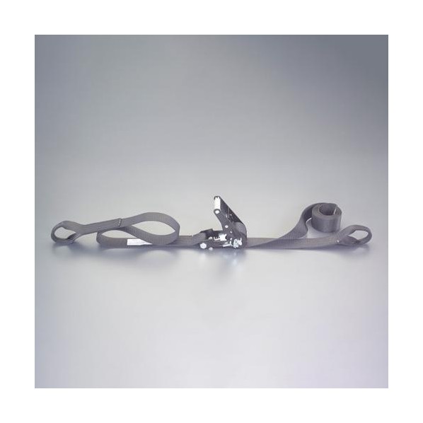 ※法人専用品※エスコ 50mmx 7.0m/ ベルト荷締機(両端アイ型) EA982SH-27 1個【2506DFD_3】