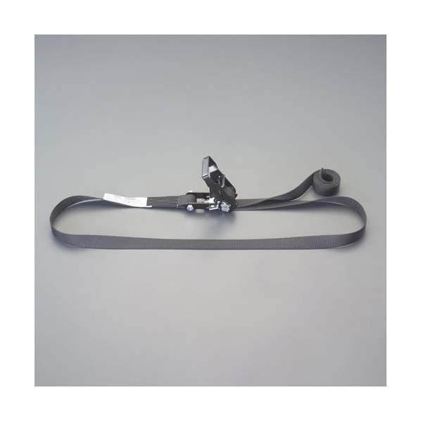 ※法人専用品※エスコ 25mmx 6.0m/ ベルト荷締機(エンドレス) EA982SJ-6 1個【2506DFD_3】