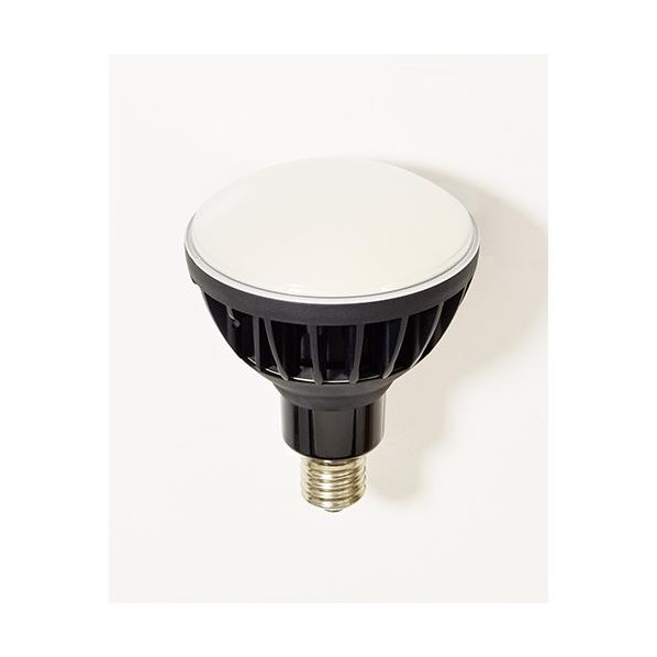 エスコ(esco) AC100V/ 50W 電球(黒) EA814DL-54 1台【2506DFD_3】｜DIY FACTORY ONLINE SHOP