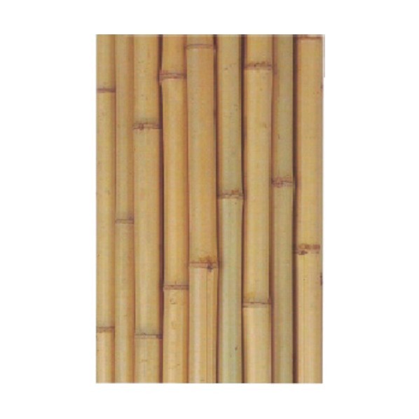※法人専用品※加藤伝蔵商店 白竹 太さ8分X2M J007 1点 x 60本