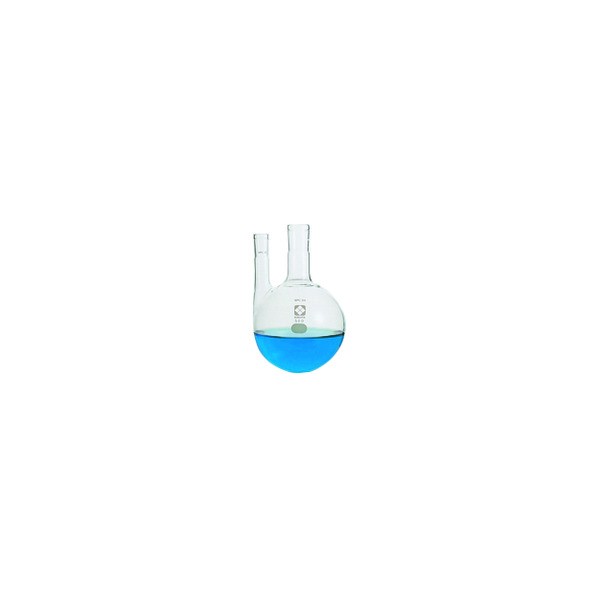 東京硝子器械 SPC二口丸底フラスコ SPC29 1000mL 371-13-58-13 1点