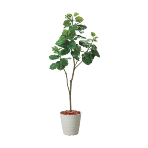 ※法人専用品※グリーンクロス 180cmウンベラータポット 幅75 IVL 6300029294 1点|DIY FACTORY ONLINE SHOP