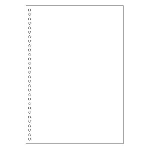 ヒサゴ マルチプリンタ帳票（エコノミープライス）A4 白紙 30穴 210&times;297mm BPE2049 1箱｜DIY FACTORY ONLINE SHOP
