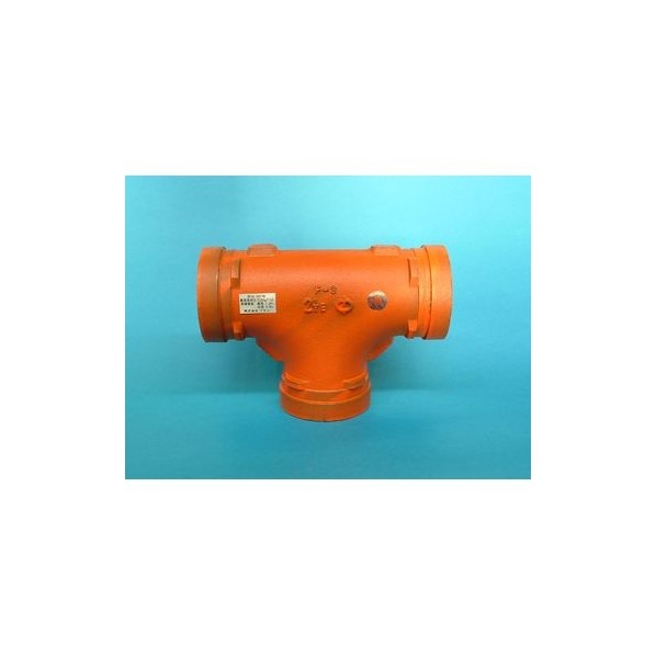 リケン トッフﾟフィッティンクﾞ 径違いチースﾞ 一次防錆塗り付ける品 100AX80A RT(F-3)-100AX80A 1点 その他-花・ガーデン・DIY