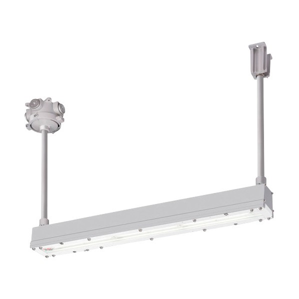 岩崎電気 安全増防爆形LED照明器具Hf32w×2灯用高出力相当(パイプ吊り) EYICL2041SA9-28 1点