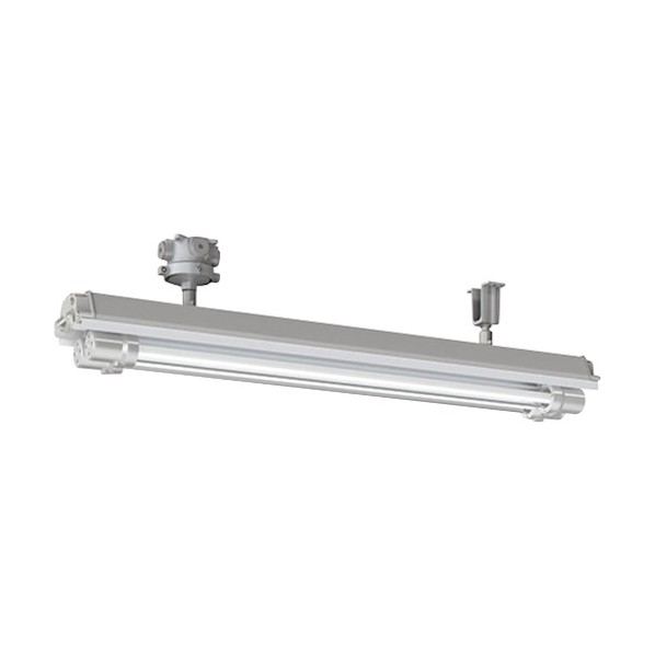 岩崎電気 防爆形LED照明装置手道具 EXILF1421BSA9U1-22 1点