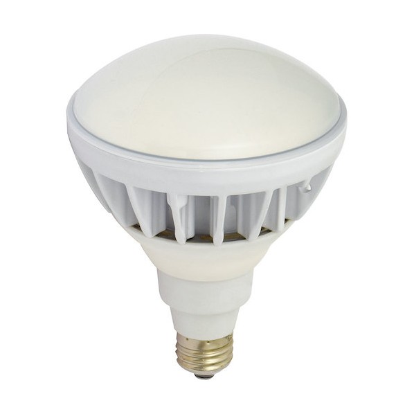 日動工業 エコビック40W L40V2-J110-30K 1P
