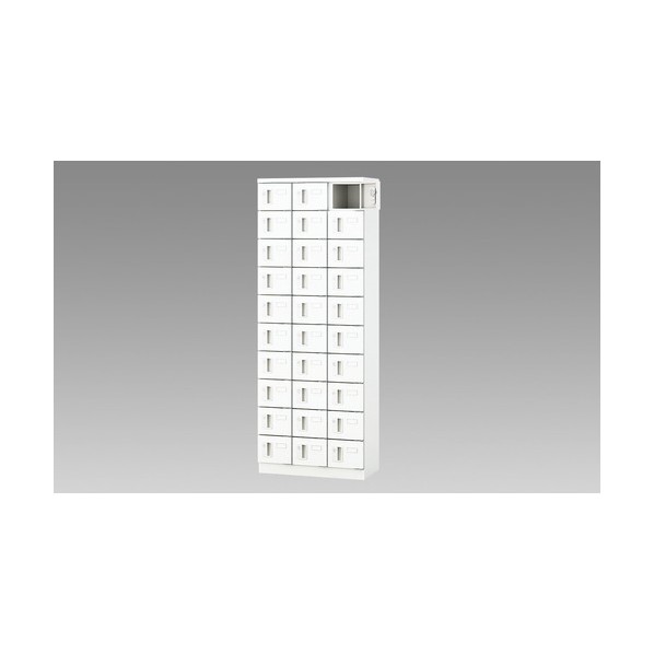 ナイキ 小入れものロッカー(30人用) PLK0616C-30-WW 1点 インテリア・寝具・収納-ロッカー