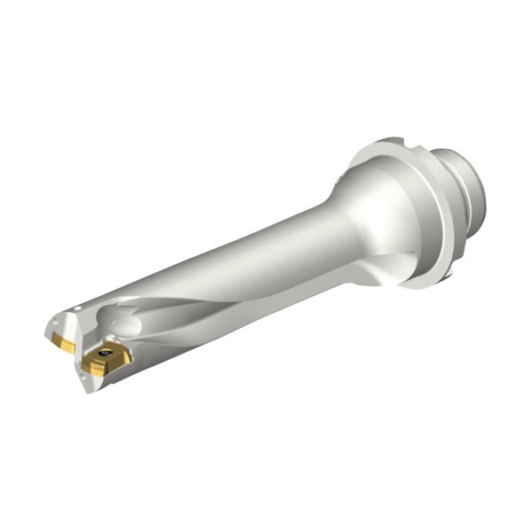 サンドビック コロドリルDS20刃先交換式ドリル(465) DS20-D2223DM25-04 1点｜DIY FACTORY ONLINE SHOP 55,140円