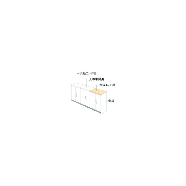プラス 648906)L6 ナチュラルパネル L6-NPT45-EK WM 1点