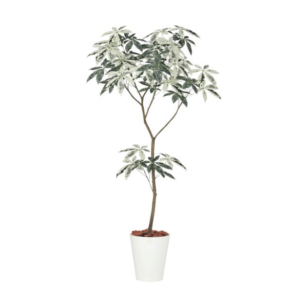 ※法人専用品※グリーンクロス フイリパキラ1．8m GLPT-200 1個｜DIY FACTORY ONLINE SHOP