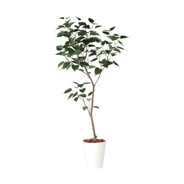 ※法人専用品※グリーンクロス インドボダイジュ1.8m GLPT-216 1個|DIY FACTORY ONLINE SHOP