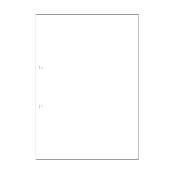 A4NC白紙2穴 大入 FSCF2001Z 1箱