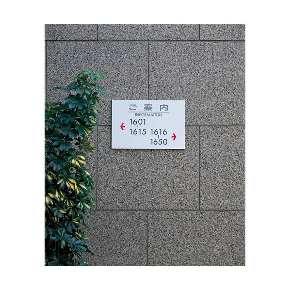 光 お引き回し板 スチール写真 400×600×20 S6041
