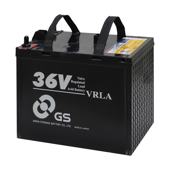 育良精機 IS-160CBA用バッテリー (42074) 160CBA BATTERY 36V 1式|DIY FACTORY ONLINE SHOP